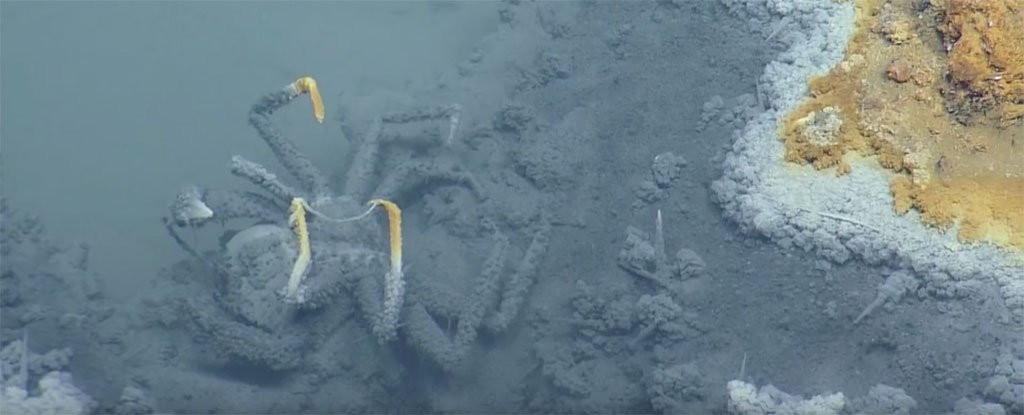 Nước muối này mặn gấp 4 lần và đặc hơn nhiều so với nước biển ở xung quanh lỗ phun lạnh, ngăn hai loại nước hòa lẫn vào nhau.