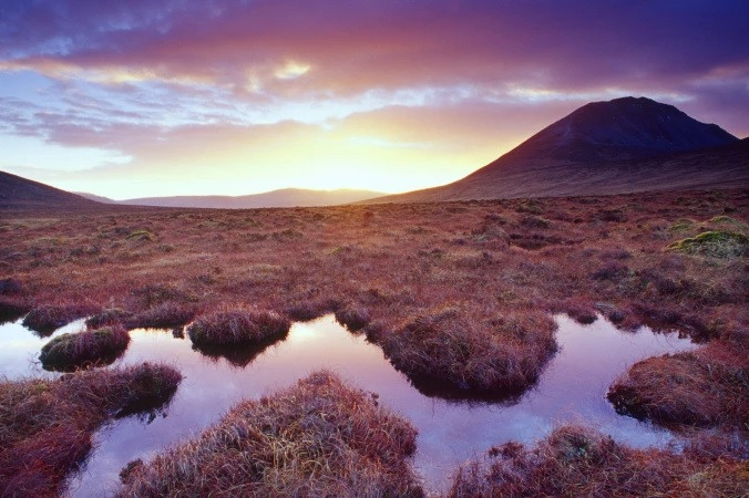 Trong những năm qua, các chuyên gia đã có những khám phá bất ngờ tại các vùng đầm lầy than bùn ở châu Âu. Môi trường đầm lầy có nhiệt độ thấp, nồng độ oxy tốt và môi trường giàu axit. Những yếu tố này giúp bảo quản rất tốt mọi thứ bên trong.