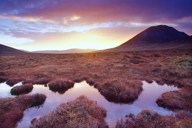 Trong những năm qua, các chuyên gia đã có những khám phá bất ngờ tại các vùng đầm lầy than bùn ở châu Âu. Môi trường đầm lầy có nhiệt độ thấp, nồng độ oxy tốt và môi trường giàu axit. Những yếu tố này giúp bảo quản rất tốt mọi thứ bên trong.
