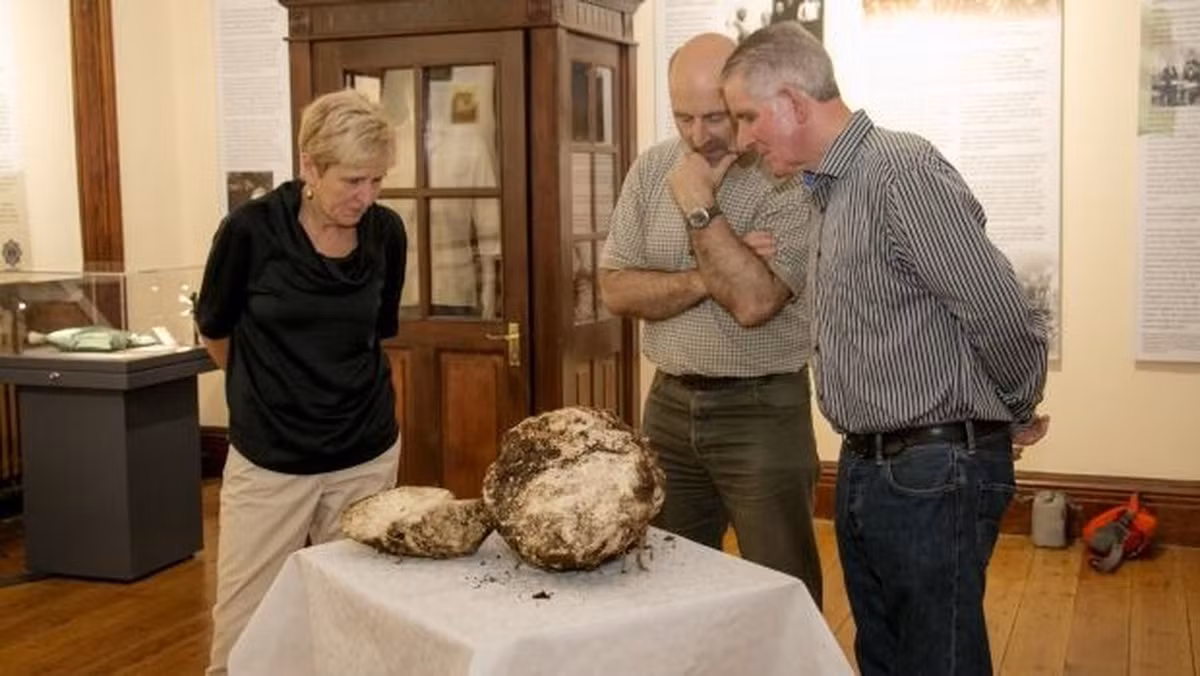 Người xưa quan niệm đầm lầy nằm giống như mảnh đất không thuộc về con người. Nhiều khả năng họ chôn các tảng bơ bên dưới đầm lầy như một món quà dâng lên cho các vị thần chứ không phải vì mục đích bảo quản.