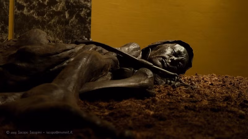 Quả thật, một số xác ướp, đồ gỗ, thanh kiếm, đồ trang trí... được phát hiện nguyên vẹn trong đầm lầy ngay cả khi không trải qua bất kỳ quy trình ướp xác nghiêm ngặt nào.