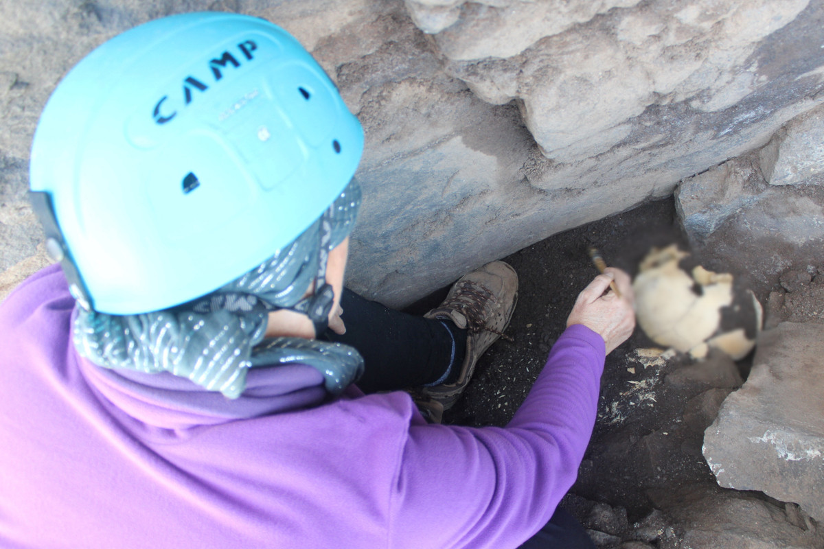 Để xác định chính xác niên đại của những bộ hài cốt trên, các nhà khảo cổ cho hay, cần làm thêm nhiều xét nghiệm.