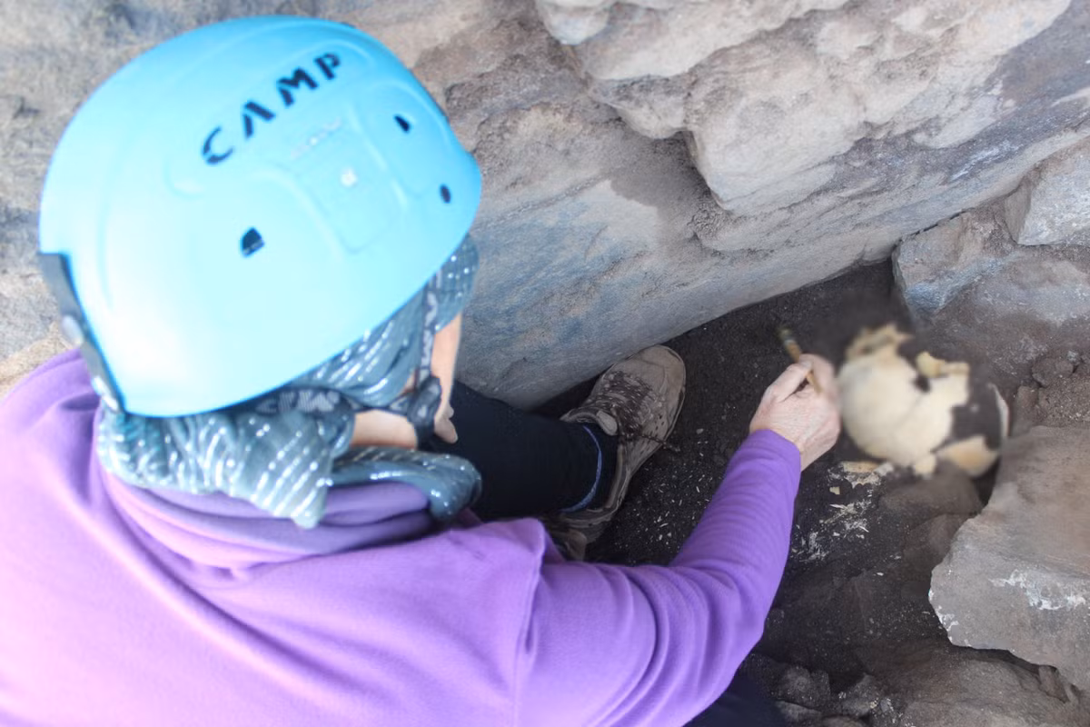 Để xác định chính xác niên đại của những bộ hài cốt trên, các nhà khảo cổ cho hay, cần làm thêm nhiều xét nghiệm.