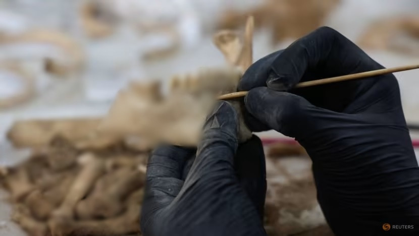 Trong khi đó, giới nghiên cứu bước đầu xác định tất cả thi hài tìm thấy trên vách đá đều là nam giới có cánh tay chắc khỏe.