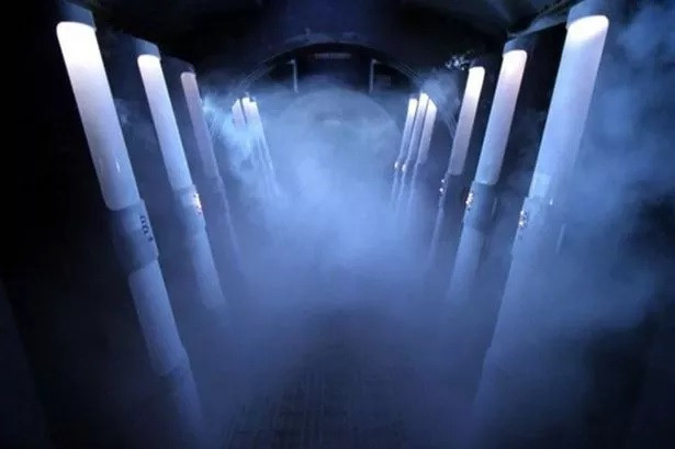 Công ty Southern Cryonics cho hay đã tuân thủ chặt chẽ những quy trình mà họ hợp tác, phát triển cùng chuyên gia Aaron Drake tại trung tâm Arizona Medical Science.