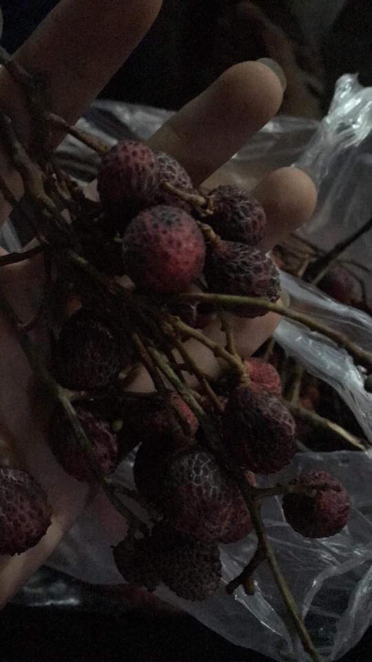 Cuoi bo thanh qua mua vai ngon cua mang cua trai tre-Hinh-3