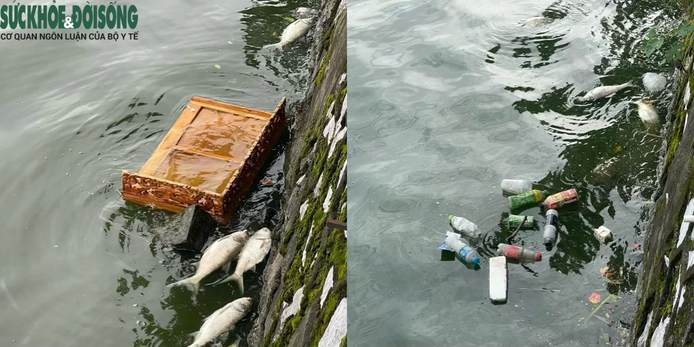 Ca chet noi lenh benh boc mui hoi thoi o Ho Tay-Hinh-2