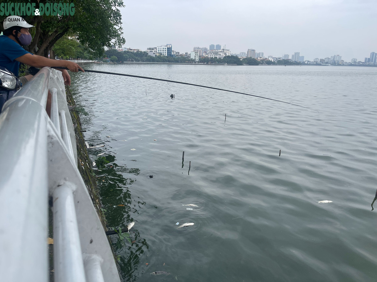 Ca chet noi lenh benh boc mui hoi thoi o Ho Tay-Hinh-3