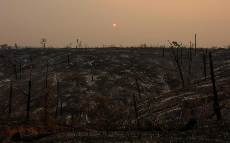 Cháy rừng thiêu rụi cây cối trên ngọn đồi ở phía tây Redding.