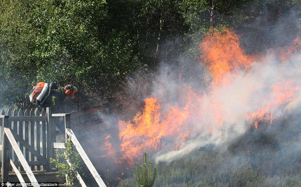 Đám cháy rừng dữ dội ở Slochd chiều 30/6.