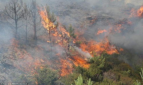 Tại Slochd, 9.000 lít nước đã được sử dụng nhằm dập tắt đám cháy ở đây.