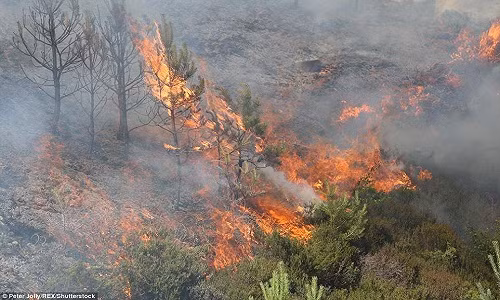 Tại Slochd, 9.000 lít nước đã được sử dụng nhằm dập tắt đám cháy ở đây.