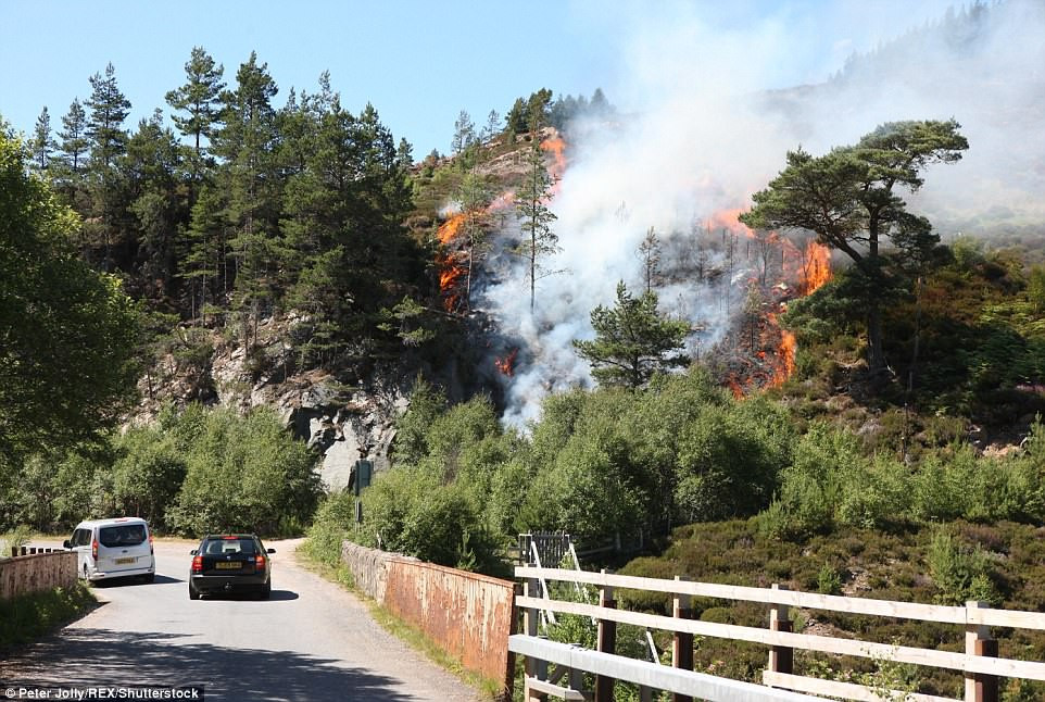 Hai chiếc ô tô đi qua đám cháy rừng ở Slochd.