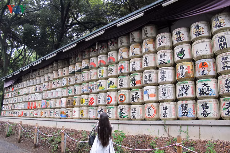 Trên đường vào đền Meiji Singu, một bên là những thùng rượu Sake được người dân từ khắp nước Nhật quyên tặng