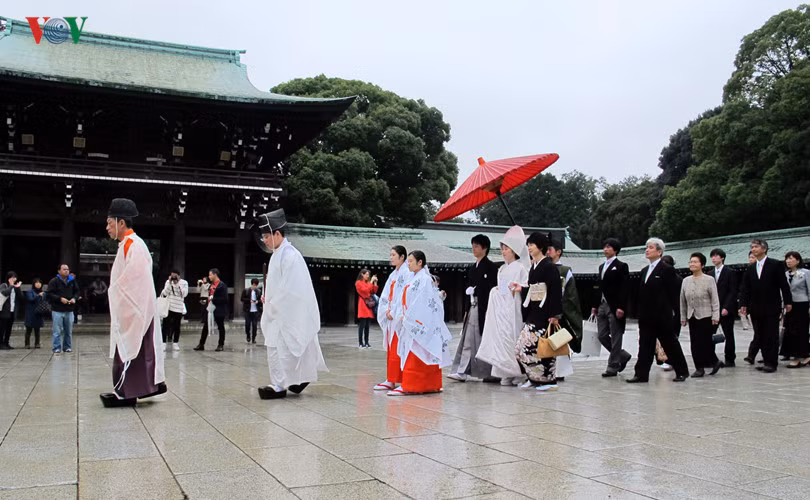 Nếu may mắn, bạn sẽ sẽ được xem đám cưới truyền thống Nhật Bản theo nghi thức đạo Shinto (Thần đạo) diễn ra tại đây. Cô dâu mặc bộ kimono màu trắng và trùm đầu, chú rể mặc áo choàng màu đen trang trọng. Thầy tế của Thần đạo đi đầu.