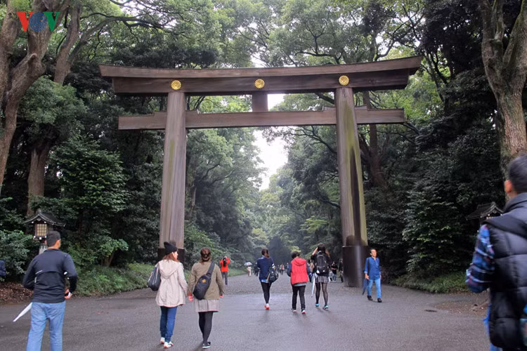 Cổng Torii đầu tiên dẫn vào khu vực đền Meiji Jingu được làm bằng nguyên 2 thân cây có tuổi đời khoảng 1.700 năm. Đền mở cửa từ sáng đến tối, vào cửa miễn phí.