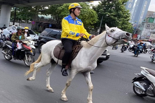 TP.HCM: Cuoi ngua nghenh ngang tren pho, nam thanh nien bi xu phat