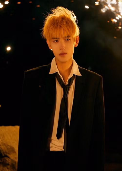 Vừa mới nổi tiếng, con trai của Trần Khải Ca - Trần Hồng đã vướng scandal đời tư. Ảnh: VieOn