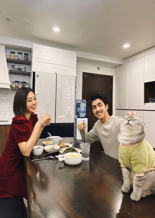 Bình An vốn ám ảnh, dị ứng với mèo.