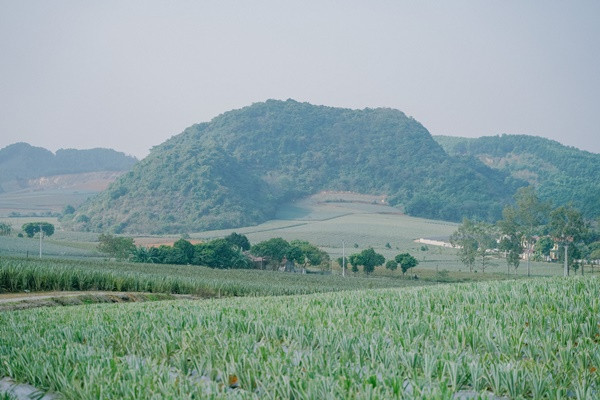 Gioi tre ru nhau check-in doi dua day tho mong tai Ninh Binh-Hinh-2
