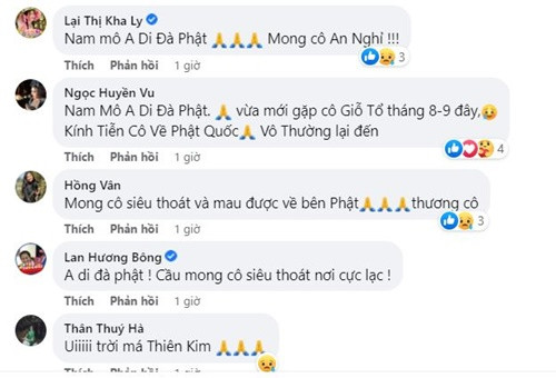 Sao Viet tiec thuong nghe si Thien Kim “Bong dung muon khoc” qua doi