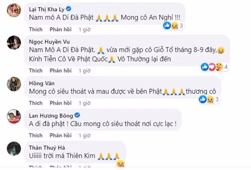 Sao Viet tiec thuong nghe si Thien Kim “Bong dung muon khoc” qua doi