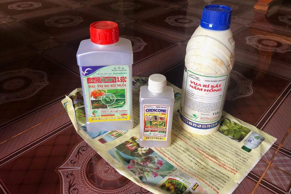 Nghi van bo thuoc sau vao be nuoc an dau doc ca gia dinh