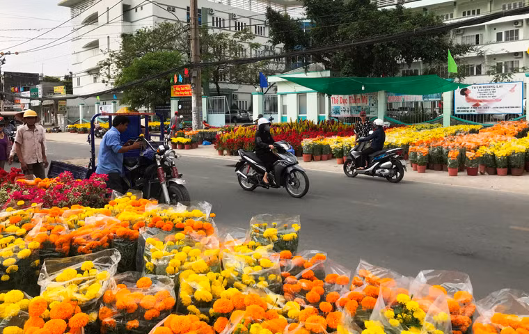 Đường phố ở TP.HCM trở nên rực rỡ với đủ chủng loại hoa được đưa về từ khắp mọi miền đất nước.