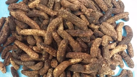 Chuối hột sau khi chế biến, phơi khô có giá từ 90.000 - 160.000 đồng/kg.