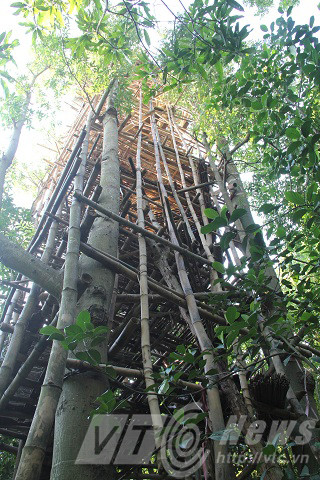 Lâu đài được dựng dựa trên 4 cây gòn được cụ Dương trồng cách đây hơn 40 năm.