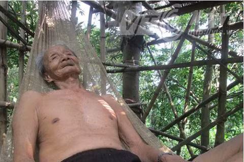 Thú vui của cụ là ngày ngày được nằm trên tầng cao nhất và nghe chim hót.