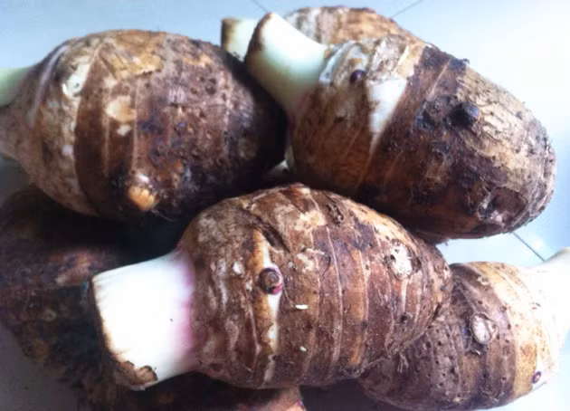 Bạn chỉ nên chọn những củ khoai môn có kích thước vừa, không lấy những củ lớn quá cũng như nhỏ quá.