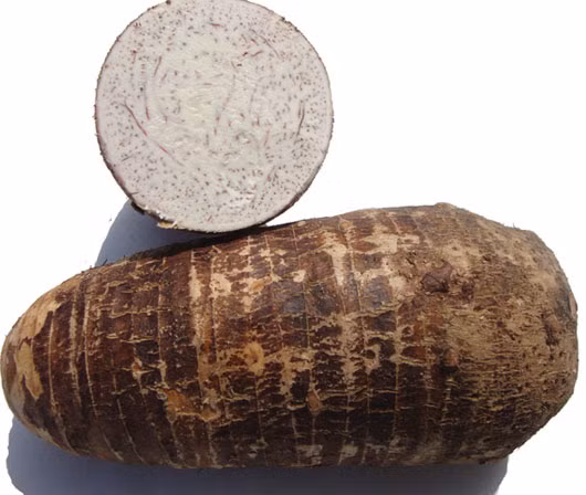 Khoai môn Việt có hàm lượng tinh bột cao. Đặc biệt giống khoai môn trồng ở Bắc Kạn có độ bở, vị bùi và hương thơm đặc trưng.