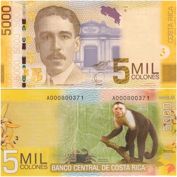 Tiền 5000 Costa Rica hình con khỉ được bán với giá khá cao, 650.000 đồng/tờ nhưng theo nhiều chủ cửa hàng tiền lì xì Hà Nội, đây là tờ tiền tuyệt đẹp,hài hòa giữa người,phong cảnh và động vật. Hơn nữa, số lượng tờ tiền này cũng không nhiều.