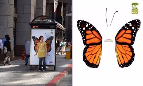 Ngo ngang ngam loat bien quang cao doc o ben xe bus