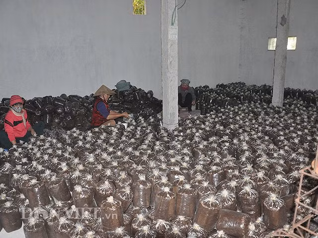 Ben trong dai ban doanh nam tien ty o Ninh Binh-Hinh-6