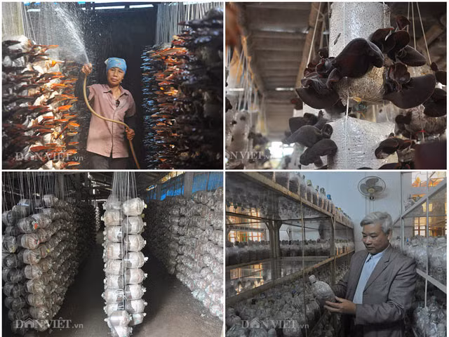 Ben trong dai ban doanh nam tien ty o Ninh Binh