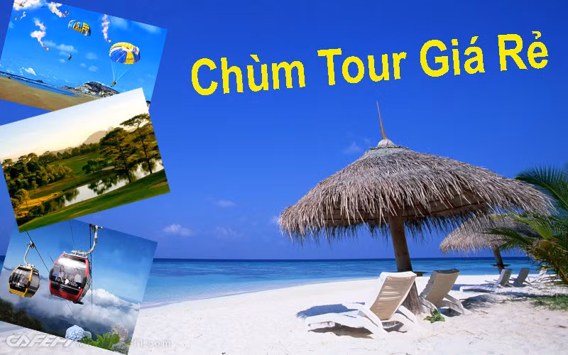 Bên cạnh đó, hàng loạt tour du lịch của các công ty lữ hành cũng giảm giá cho khách du lịch nhân dịp Tết dương lịch. Vietfuntravel giảm giá từ 99.000 - 219.000 đồng cho các tour có ngày khởi hành từ 23/12/2015 đến 3/1/2016. Nhiều lịch trình đi Hạ Long, Củ Chi, miền Tây... đều đưa ra mức giá ưu đãi cho khách.