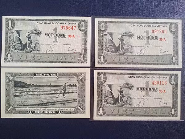 Đối với nhiều người mê sưu tập tiền giấy cũ, thì những tờ tiền này rất có giá trị và nhiều ý nghĩa. Tờ 1 đồng năm 1955 lần 1 với hình ảnh ruộng muối và nông dân đập lúa rao bán 70.000 - 80.000 đồng/tờ.