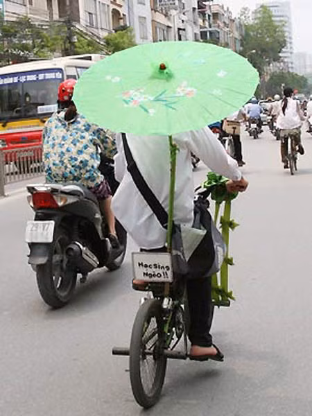 "Học sing nghèo"????