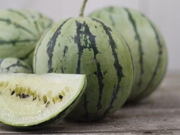 Dưa hấu ruột trắng từng "gây bão" một thời gian dài vì nhiều người mê lõi dưa màu trắng kem lạ mắt của chúng. Theo những người bán hạt giống ở Hà Nội, dưa hấu ruột trắng thường gọi là Cream Fleshed Suika.