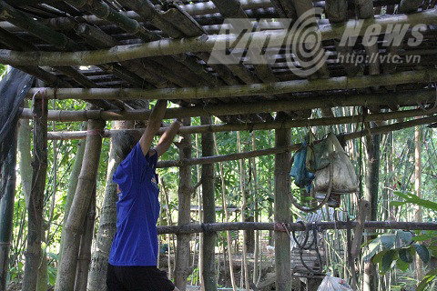 "Lâu đài" kỳ lạ không có thang, để lên đươc, chỉ còn cách bám vào mấy cây nứa và trèo.