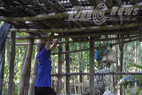 "Lâu đài" kỳ lạ không có thang, để lên đươc, chỉ còn cách bám vào mấy cây nứa và trèo.