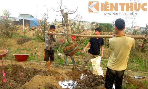 Nhiều người đang tất bật chuẩn bị cho vụ mùa năm nay bội thu.