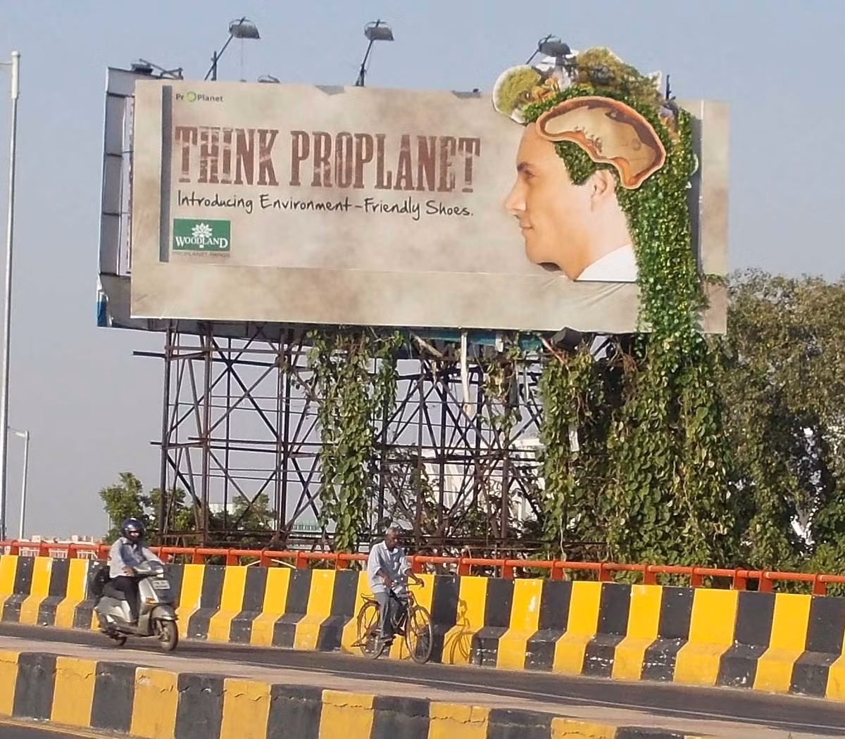 Những mảng dây leo xanh mướt tạo điểm nhấn riêng cho tấm biển này.