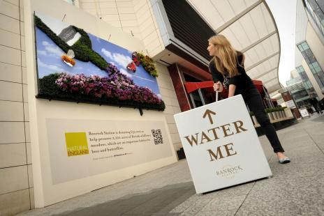 Tấm biển quảng cáo độc lạ này có thể "trụ" được trong thời gian 2 tháng và các công nhân phải thường xuyên chăm sóc, tưới nước cho hoa và cây.