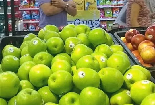 Trong khi đó, tại Việt Nam, các sản phẩm táo Gala và Granny Smith được bày bán tràn lan. Theo cơ quan chức năng, hai loại táo bị nhiễm khuẩn Listeriosis monocytogenes chỉ do một cơ sở chế biến táo ở California (Mỹ), nhưng 90% táo nhập khẩu từ Mỹ về Việt Nam lại từ tiểu bang Washington, vì thế, người tiêu dùng không quá lo lắng.