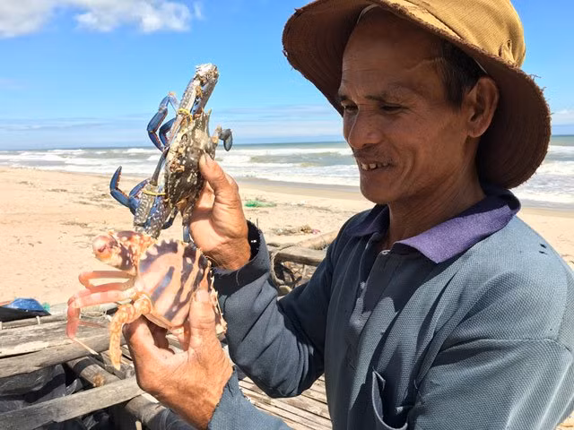Trong số các nghề đánh bắt được ưa chuộng ở vùng biển, đánh bắt ghẹ là nghề mưu sinh của không ít ngư dân vùng ven biển Quảng Ngãi. Do đánh bắt gần bờ nên ngư dân dùng thuyền nhỏ, bắt đầu ra khơi từ 14 - 17h và trở về vào lúc 3h sáng. Ảnh: Dân Việt