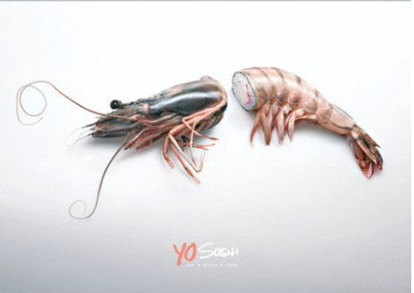 Sushi tôm...