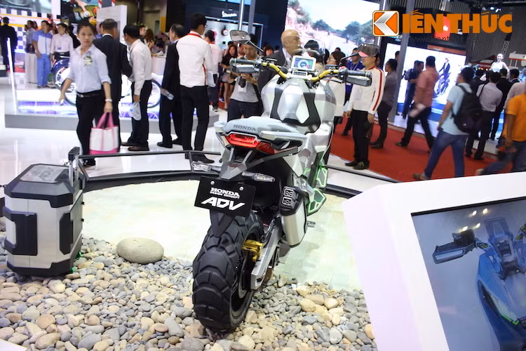 Vào tháng 12/2015, Honda châu Âu đã chính thức nộp đơn xin đăng ký bản quyền tên gọi "ADV". Như vậy, có thể mẫu xe đặc biệt này đã được Honda chuẩn bị đưa vào sản xuất. Tuy nhiên, nhiều khả năng hãng sẽ chỉ bán ADV tại châu Âu, do đây là thị trường có nhu cầu cao đối với những mẫu xe tay ga phân khối lớn.